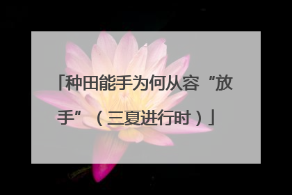 种田能手为何从容“放手”（三夏进行时）