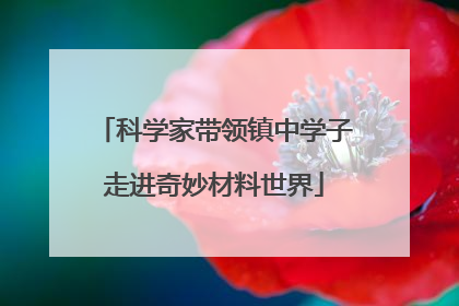 科学家带领镇中学子走进奇妙材料世界
