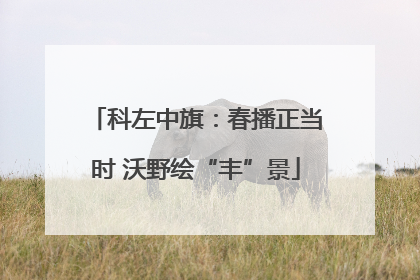 科左中旗：春播正当时 沃野绘“丰”景