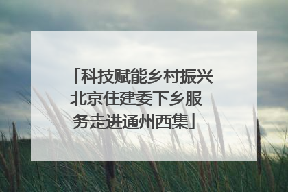 科技赋能乡村振兴 北京住建委下乡服务走进通州西集