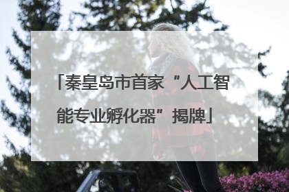 秦皇岛市首家“人工智能专业孵化器”揭牌
