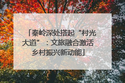 秦岭深处搭起“村光大道”：文旅融合激活乡村振兴新动能