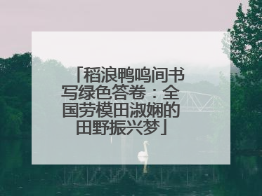 稻浪鸭鸣间书写绿色答卷：全国劳模田淑娴的田野振兴梦
