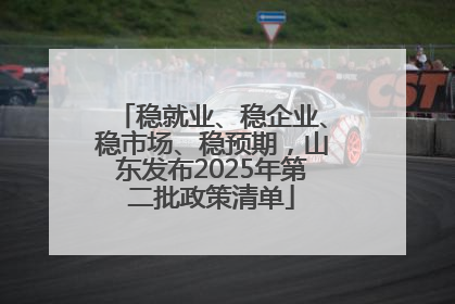 稳就业、稳企业、稳市场、稳预期，山东发布2025年第二批政策清单