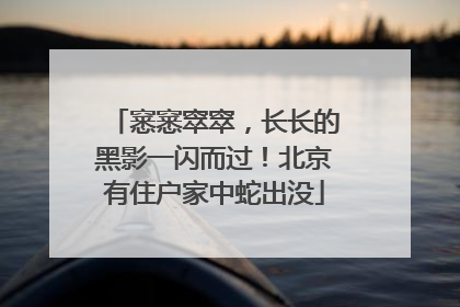 窸窸窣窣，长长的黑影一闪而过！北京有住户家中蛇出没