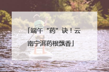 端午“药”诀！云南宁洱药根飘香