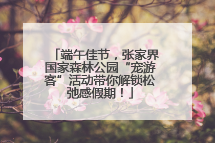 端午佳节，张家界国家森林公园“宠游客”活动带你解锁松弛感假期！