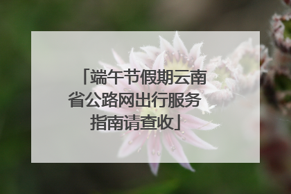 端午节假期云南省公路网出行服务指南请查收