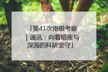 第41次南极考察｜通讯：向着暗夜与深海的科研坚守