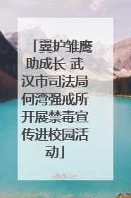 翼护雏鹰助成长 武汉市司法局何湾强戒所开展禁毒宣传进校园活动