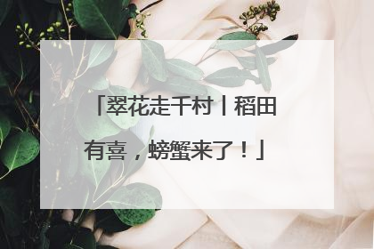 翠花走千村丨稻田有喜，螃蟹来了！