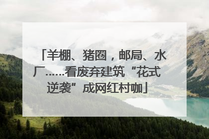 羊棚、猪圈，邮局、水厂……看废弃建筑“花式逆袭”成网红村咖