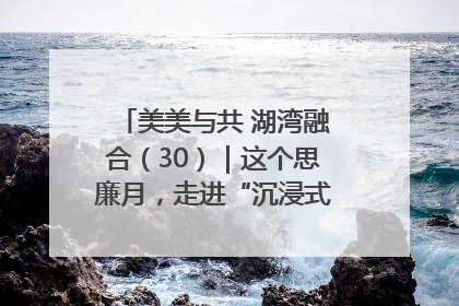 美美与共 湖湾融合（30）｜这个思廉月，走进“沉浸式”清风课堂