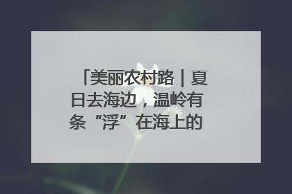 美丽农村路｜夏日去海边，温岭有条“浮”在海上的公路你去过吗？