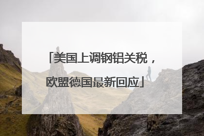 美国上调钢铝关税，欧盟德国最新回应