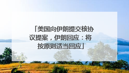美国向伊朗提交核协议提案，伊朗回应：将按原则适当回应