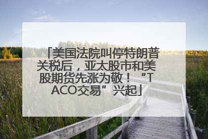 美国法院叫停特朗普关税后，亚太股市和美股期货先涨为敬！“TACO交易”兴起