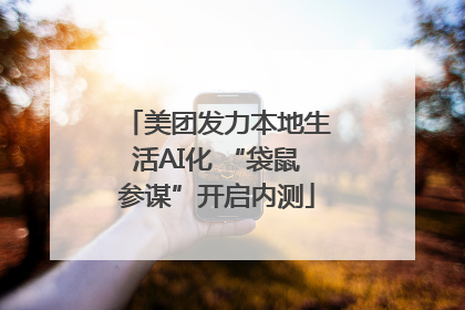 美团发力本地生活AI化 “袋鼠参谋”开启内测
