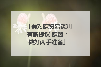 美对欧贸易谈判有新提议 欧盟：做好两手准备