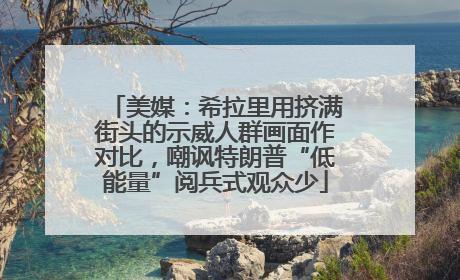 美媒：希拉里用挤满街头的示威人群画面作对比，嘲讽特朗普“低能量”阅兵式观众少