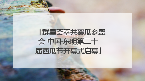 群星荟萃共襄瓜乡盛会 中国·东明第二十届西瓜节开幕式启幕