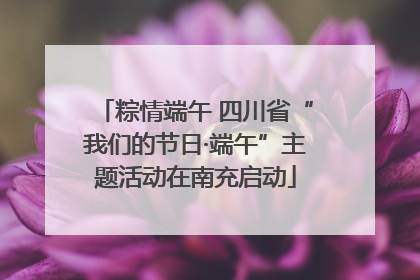 粽情端午 四川省“我们的节日·端午”主题活动在南充启动