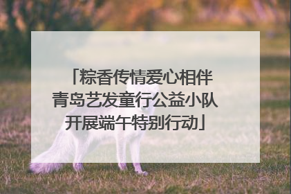 粽香传情爱心相伴 青岛艺发童行公益小队开展端午特别行动