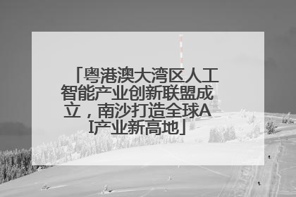 粤港澳大湾区人工智能产业创新联盟成立，南沙打造全球AI产业新高地