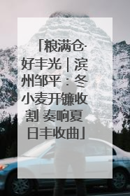粮满仓·好丰光｜滨州邹平：冬小麦开镰收割 奏响夏日丰收曲