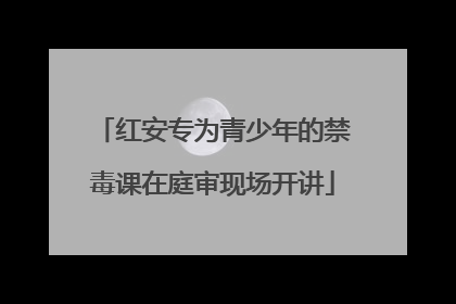 红安专为青少年的禁毒课在庭审现场开讲