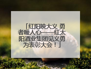 红阳映大义 勇者暖人心——红太阳酒业集团见义勇为表彰大会！