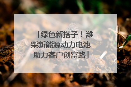绿色新搭子！潍柴新能源动力电池助力客户创富路
