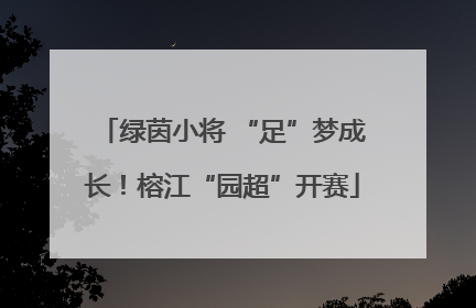 绿茵小将 “足”梦成长！榕江“园超”开赛