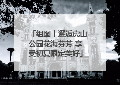 组图丨邂逅虎山公园花海芬芳 享受初夏限定美好