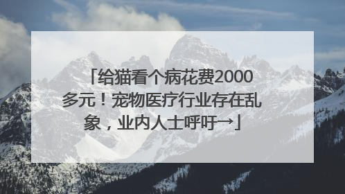给猫看个病花费2000多元！宠物医疗行业存在乱象，业内人士呼吁→
