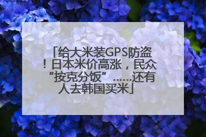 给大米装GPS防盗！日本米价高涨，民众“按克分饭”……还有人去韩国买米