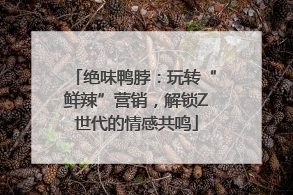 绝味鸭脖：玩转“鲜辣”营销，解锁Z世代的情感共鸣