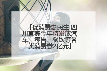 促消费惠民生 四川宜宾今年将发放汽车、零售、餐饮等各类消费券2亿元