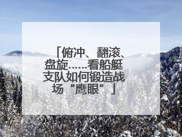 俯冲、翻滚、盘旋……看船艇支队如何锻造战场“鹰眼”