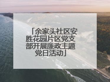 余家头社区安胜花园片区党支部开展廉政主题党日活动