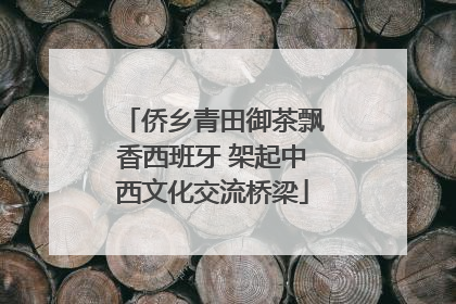 侨乡青田御茶飘香西班牙 架起中西文化交流桥梁