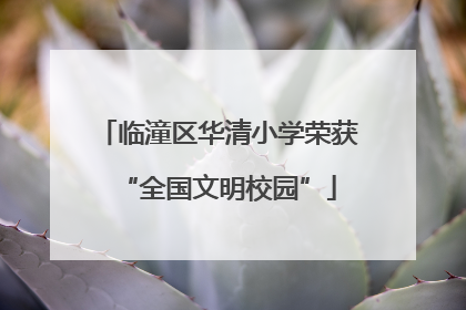 临潼区华清小学荣获“全国文明校园”