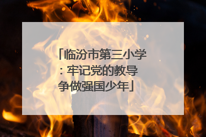 临汾市第三小学：牢记党的教导 争做强国少年