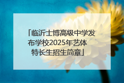 临沂士博高级中学发布学校2025年艺体特长生招生简章