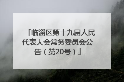 临淄区第十九届人民代表大会常务委员会公告（第20号）