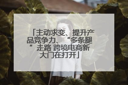 主动求变、提升产品竞争力、“多条腿”走路 跨境电商新大门在打开