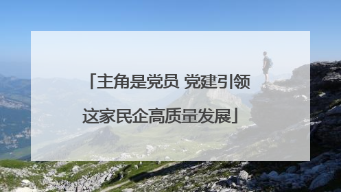 主角是党员 党建引领这家民企高质量发展