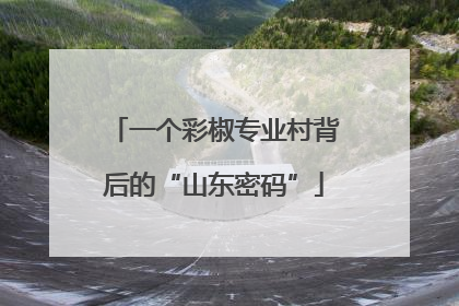 一个彩椒专业村背后的“山东密码”