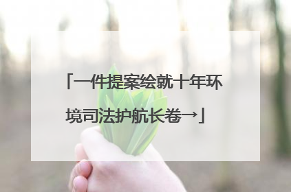 一件提案绘就十年环境司法护航长卷→