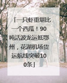 一只虾重堪比一个西瓜！90吨活波龙运抵鄂州，花湖机场货运航线突破100条